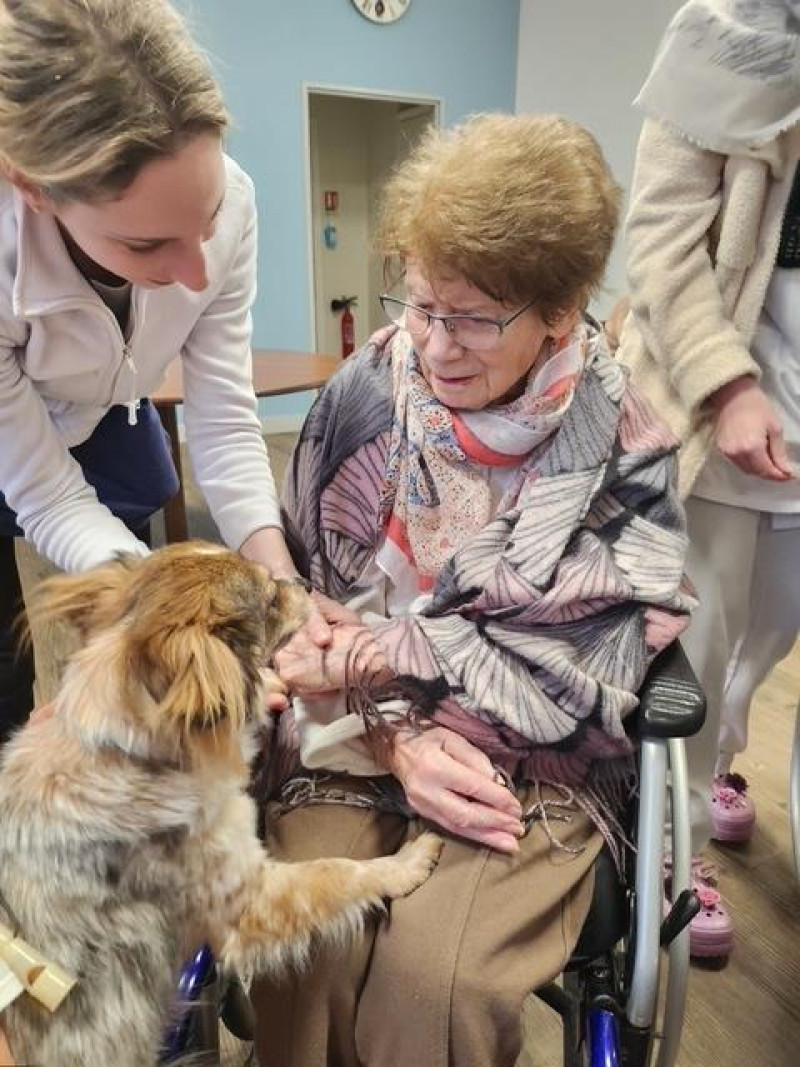 Un Après-Midi de Complicité Canine à la Résidence La Harpe